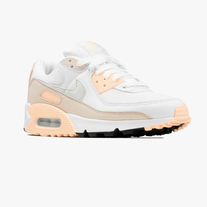 Nike Air Max 90 (CT1030-101)