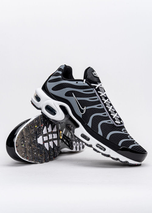 Nike Air Max Plus (DM2466-001)