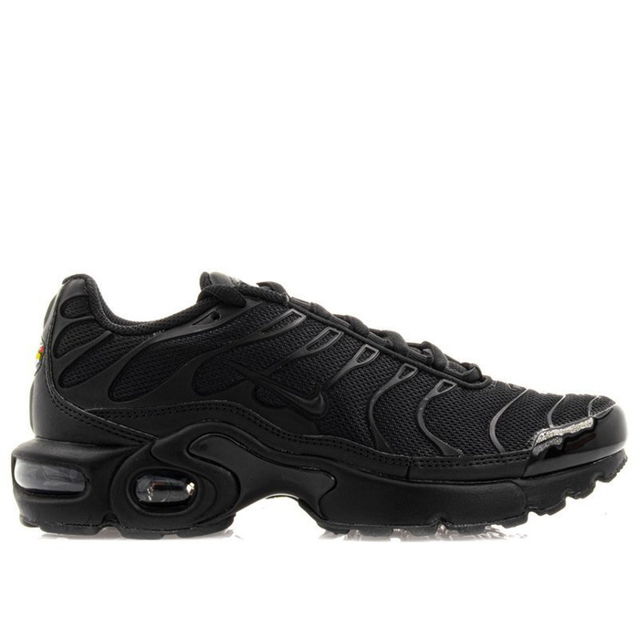 Nike Air Max Plus GS (655020-009)