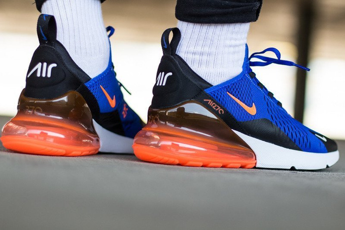Nike Air Max 270 (AH8050-401)