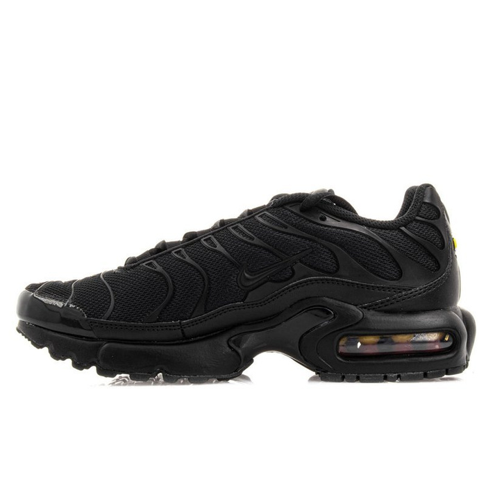 Nike Air Max Plus GS (655020-009)