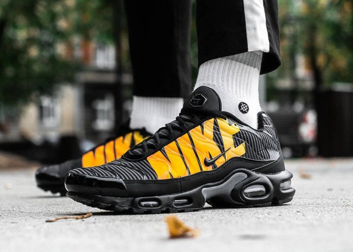 Nike Air Max Plus TN SE (AT0040-002)