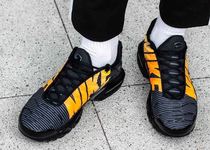 Nike Air Max Plus TN SE (AT0040-002)