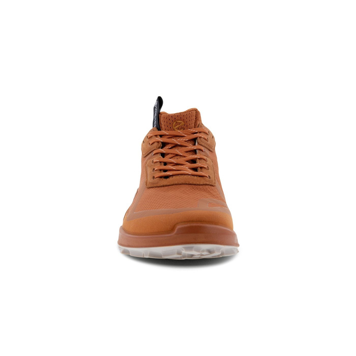 Ecco BIOM 2.1 X CTRY W LOW GTX