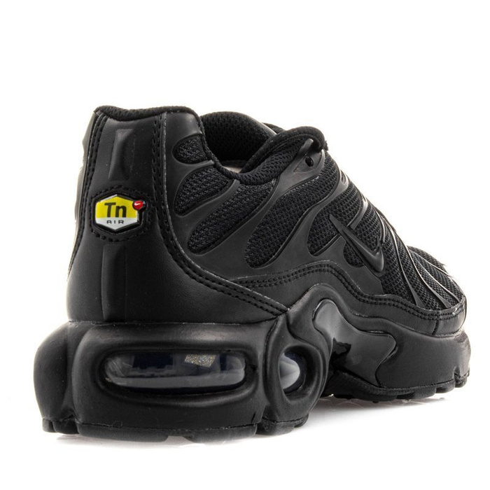 Nike Air Max Plus GS (655020-009)