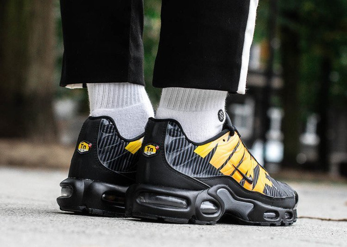 Nike Air Max Plus TN SE (AT0040-002)