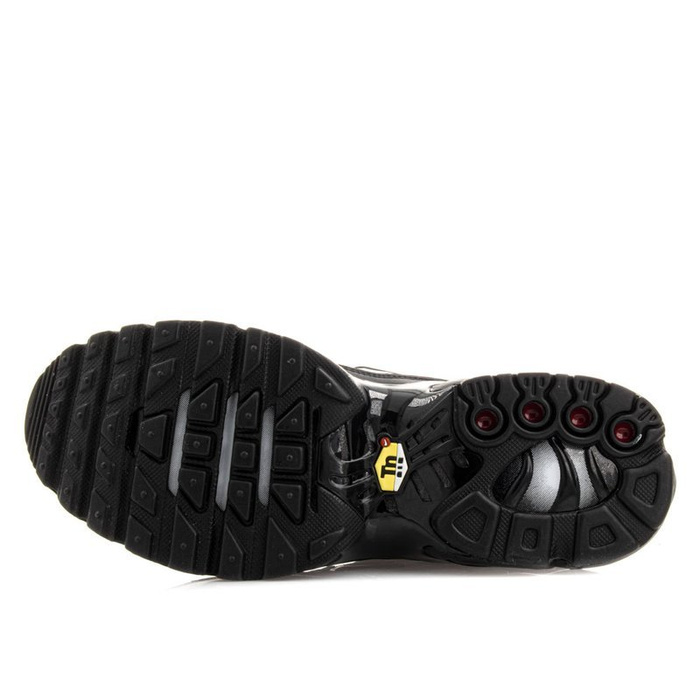 Nike Air Max Plus GS (655020-009)